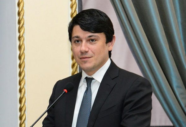 Komitə sədri: Xaricdə yaşayan soydaşlarımızla bağlı qanun layihəsi üzərində işlər yekunlaşıb (YENİLƏNİB)