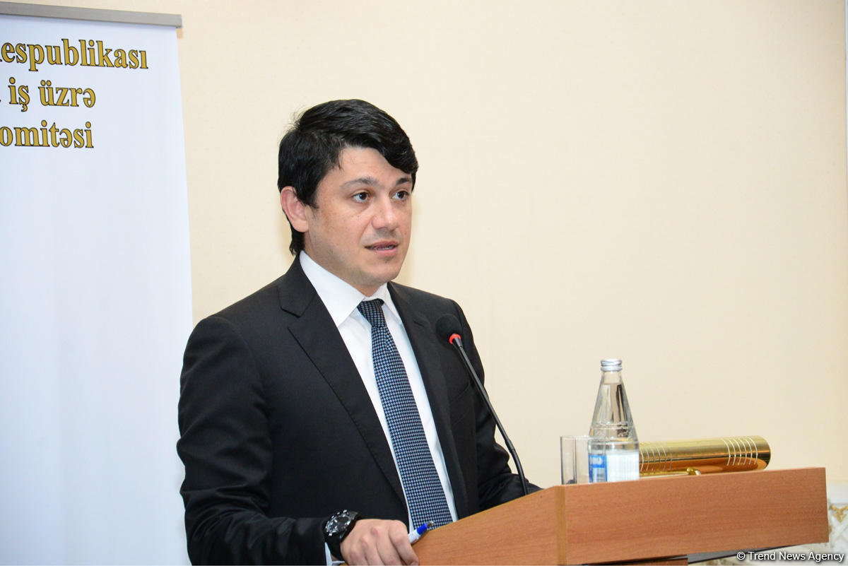 Komitə sədri: Azərbaycan üçün fəaliyyət göstərən diaspor təşkilatları birləşməlidir