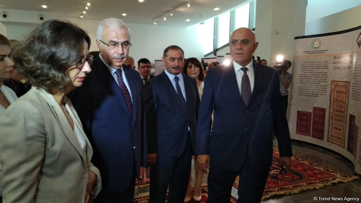 Niyazi Səfərov: Azərbaycan xalçaçılıq üçün xammal idxalından asılılığını azaldacaq (FOTO)