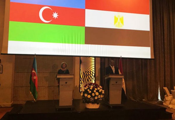 Misir səfiri: Azərbaycanla əməkdaşlığı genişləndirmək üçün səylə çalışacağıq