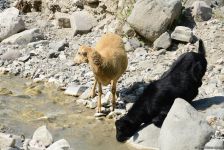 Lahıc – turistlərin sevimli məkanı (FOTOREPORTAJ)