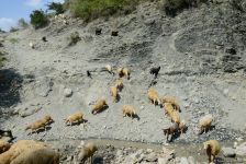 Lahıc – turistlərin sevimli məkanı (FOTOREPORTAJ)