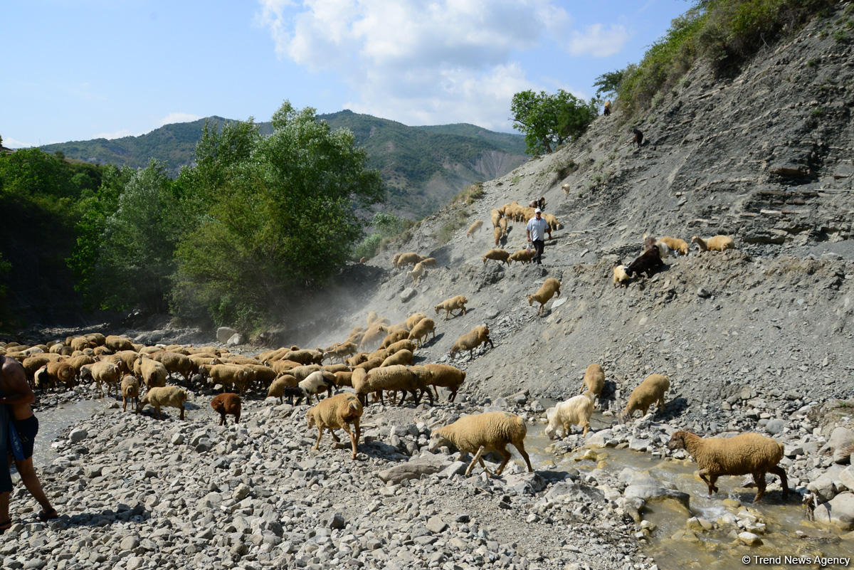 Lahıc – turistlərin sevimli məkanı (FOTOREPORTAJ)