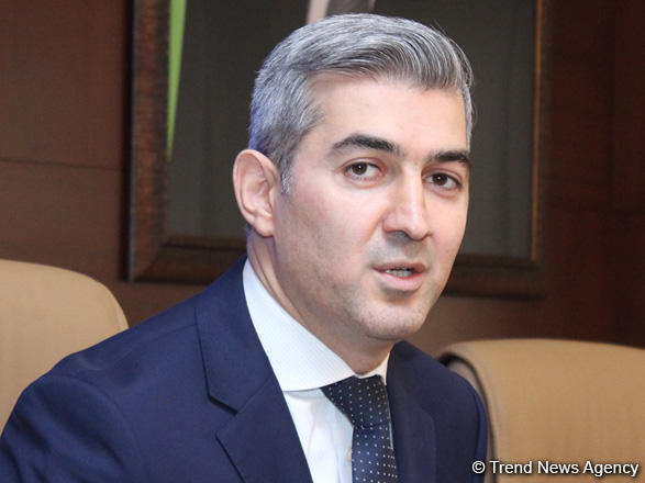 DMX rəisi: Miqrasiyanın əhatəsinin böyük olması cinayətkar qrupların qanunsuz gəlir əldə etməsinə imkan yaradır