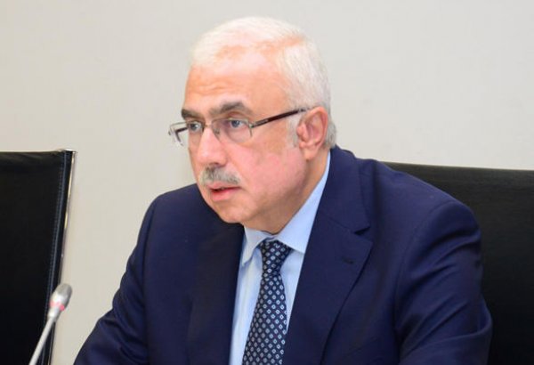 Nazir müavini: Azərbaycanda sahibkarlığın inkişafı üzrə kompleks işlər aparılır