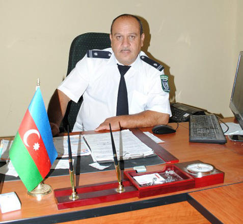 Baş baytar: İsmayıllıda heyvanların süd vəzilərini yırtıcılar qopara bilər