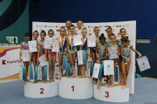 Bədii gimnastika üzrə 25-ci Azərbaycan çempionatı və Bakı birinciliyinin sonuncu gününün mükafatçıları mükafatlandırılıb (FOTO)