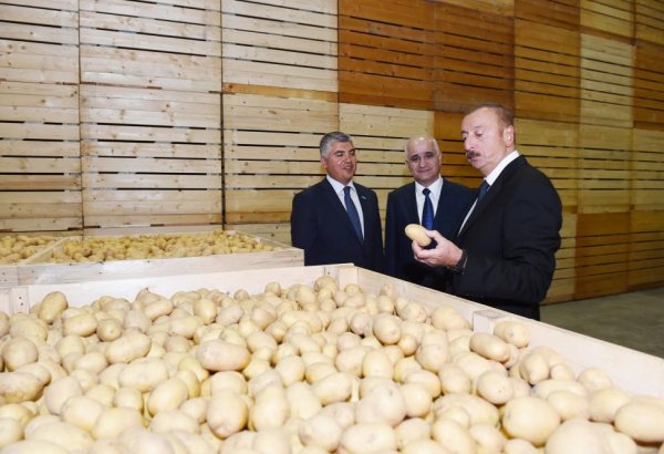 Prezident İlham Əliyev İsmayıllı rayonunda aqroparkın açılışında iştirak edib (FOTO) (YENİLƏNİB)