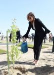 Mehriban Əliyeva: birinci xanım olmağın məsuliyyəti və sərhəd tanımayan xeyirxahlıq (FOTO)