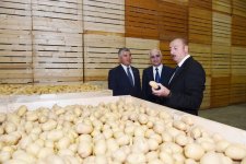 Prezident İlham Əliyev İsmayıllı rayonunda aqroparkın açılışında iştirak edib (FOTO) (YENİLƏNİB)