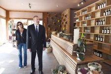 Prezident İlham Əliyev və birinci xanım Mehriban Əliyeva Şamaxıda üzümçülük və şərabçılıq kompleksinin açılışında iştirak ediblər (FOTO)