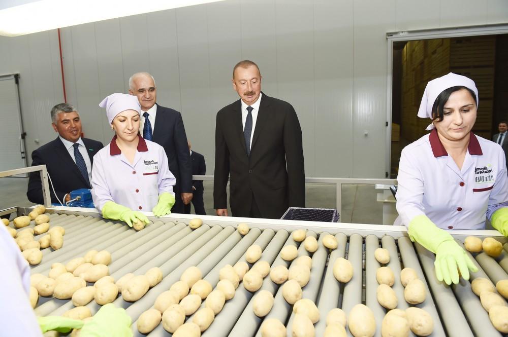 Prezident İlham Əliyev İsmayıllı rayonunda aqroparkın açılışında iştirak edib (FOTO) (YENİLƏNİB)