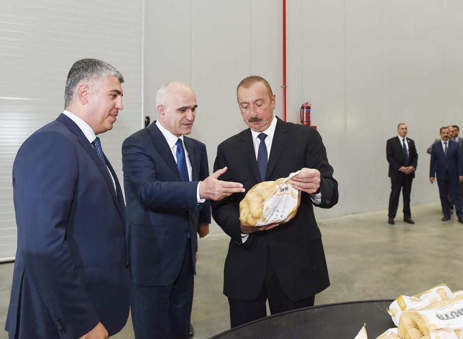 Prezident İlham Əliyev İsmayıllı rayonunda aqroparkın açılışında iştirak edib (FOTO) (YENİLƏNİB)