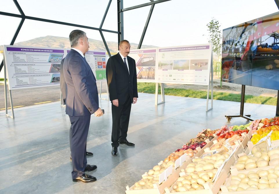 Prezident İlham Əliyev İsmayıllı rayonunda aqroparkın açılışında iştirak edib (FOTO) (YENİLƏNİB)