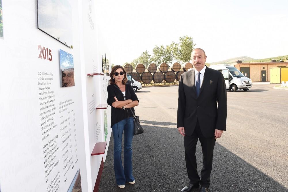 Prezident İlham Əliyev və birinci xanım Mehriban Əliyeva Şamaxıda üzümçülük və şərabçılıq kompleksinin açılışında iştirak ediblər (FOTO)
