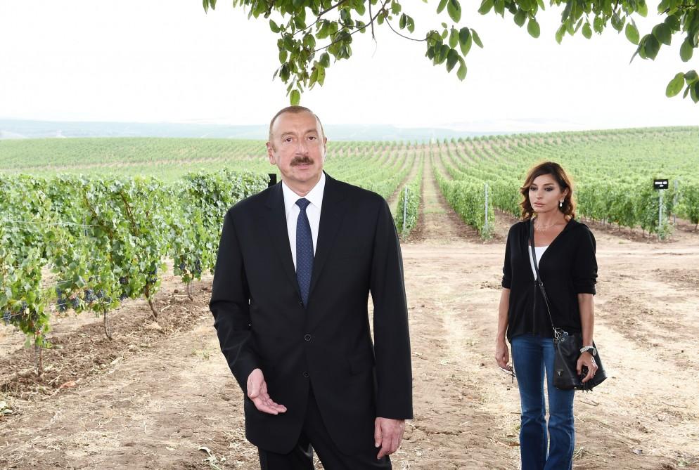 Prezident İlham Əliyev və birinci xanım Mehriban Əliyeva Şamaxıda üzümçülük və şərabçılıq kompleksinin açılışında iştirak ediblər (FOTO)
