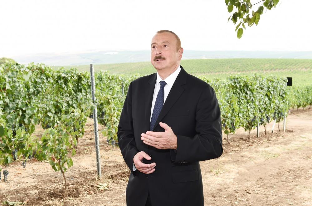 Prezident İlham Əliyev: Azərbaycanda hər bir yeni doğulan uşaq üçün gələcəkdə iş yeri olmalıdır və kənd təsərrüfatını genişləndirməklə buna nail olacağıq
