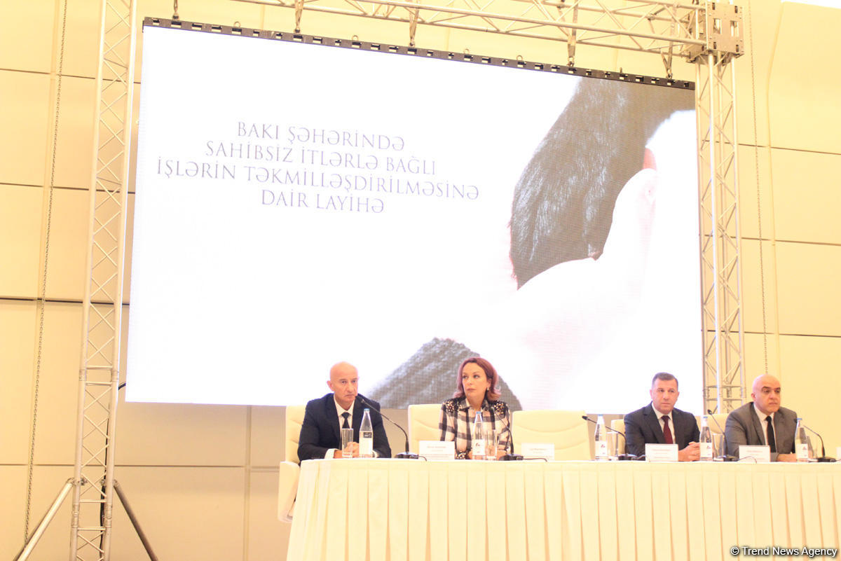 Heydər Əliyev Fondunun dəstəyi ilə sahibsiz itlərlə bağlı görülən işlərin təkmilləşdirilməsinə dair layihənin icrasına başlanılıb (FOTO)