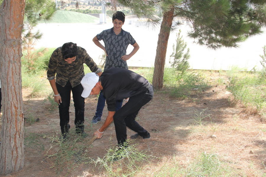 Bilik Fondu Bakıda və Neftçalada təmizlik aksiyaları keçirdi (FOTO)