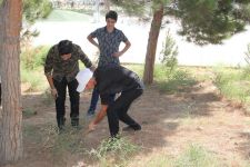 Bilik Fondu Bakıda və Neftçalada təmizlik aksiyaları keçirdi (FOTO)