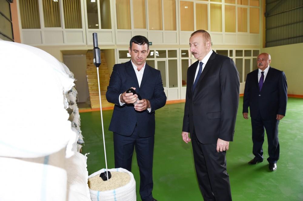 Azərbaycan Prezidenti Masallıda çəltik emalı müəssisəsinin açılışında iştirak edib (FOTO)