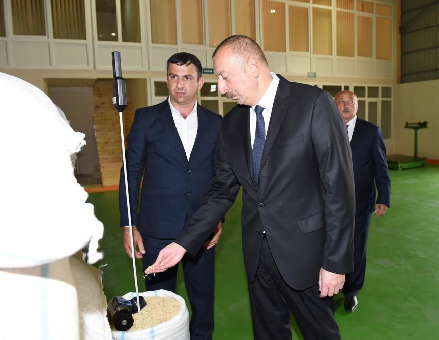 Azərbaycan Prezidenti Masallıda çəltik emalı müəssisəsinin açılışında iştirak edib (FOTO)