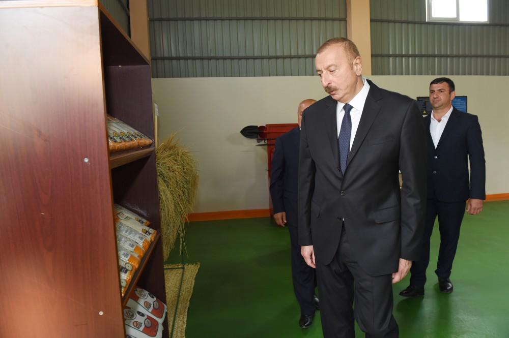 Azərbaycan Prezidenti Masallıda çəltik emalı müəssisəsinin açılışında iştirak edib (FOTO)