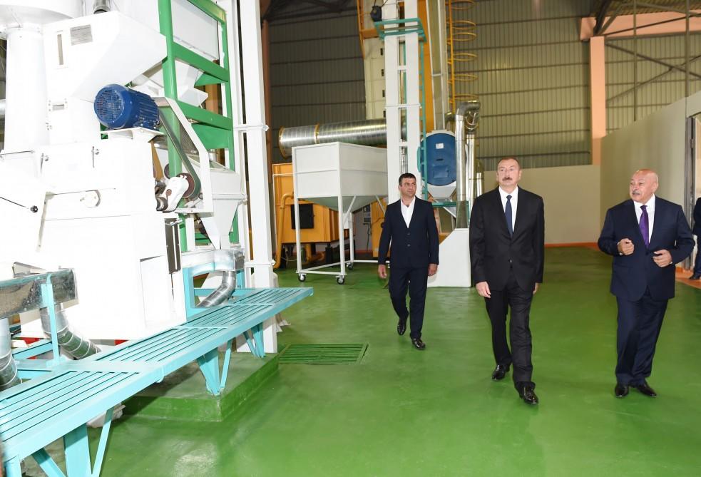 Azərbaycan Prezidenti Masallıda çəltik emalı müəssisəsinin açılışında iştirak edib (FOTO)