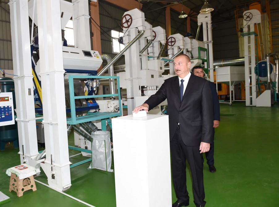 Azərbaycan Prezidenti Masallıda çəltik emalı müəssisəsinin açılışında iştirak edib (FOTO)