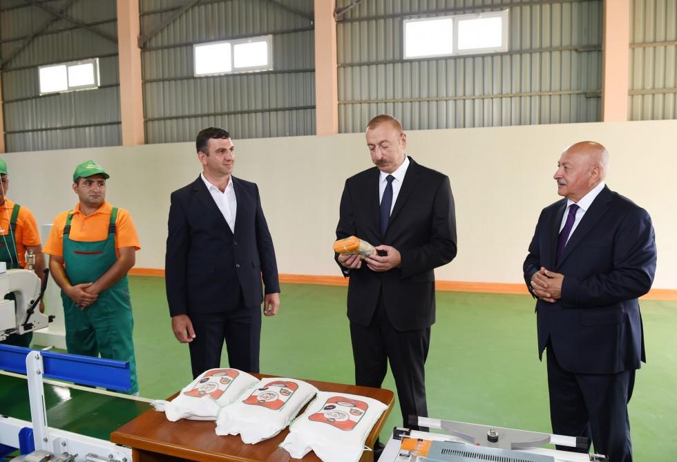 Azərbaycan Prezidenti Masallıda çəltik emalı müəssisəsinin açılışında iştirak edib (FOTO)