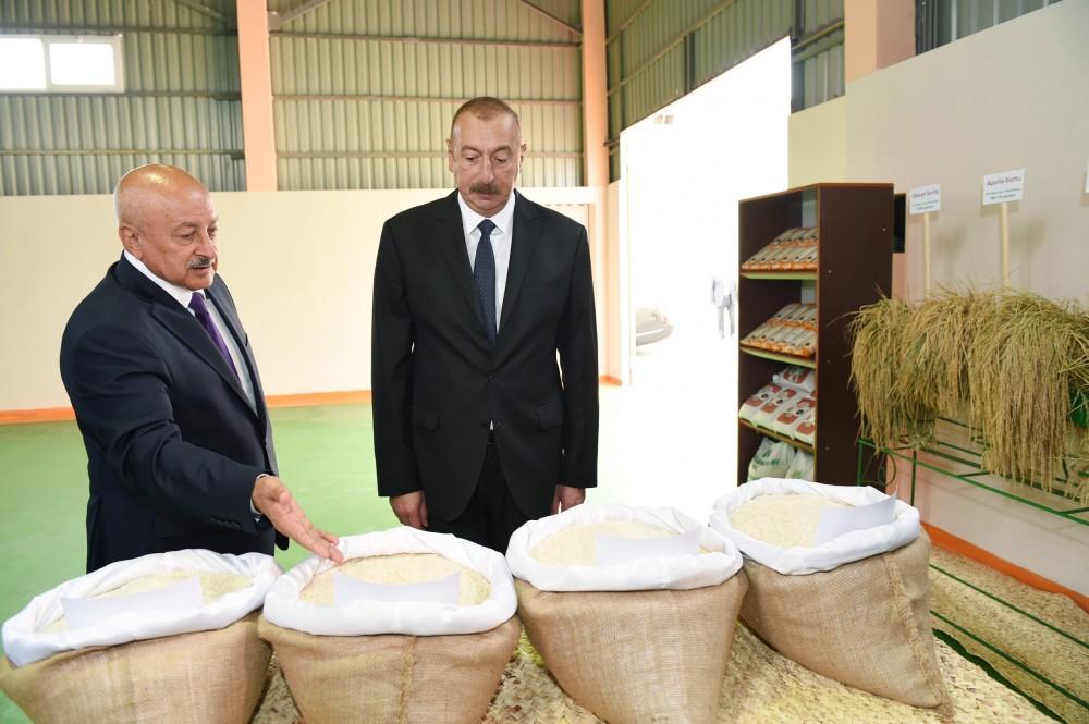 Azərbaycan Prezidenti Masallıda çəltik emalı müəssisəsinin açılışında iştirak edib (FOTO)