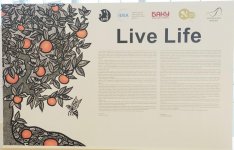 Leyla Əliyeva Heydər Əliyev Mərkəzində Nəsimi – şeir, sənət və mənəviyyat Festivalı çərçivəsində sərgilərin açılışında iştirak edib (FOTO)