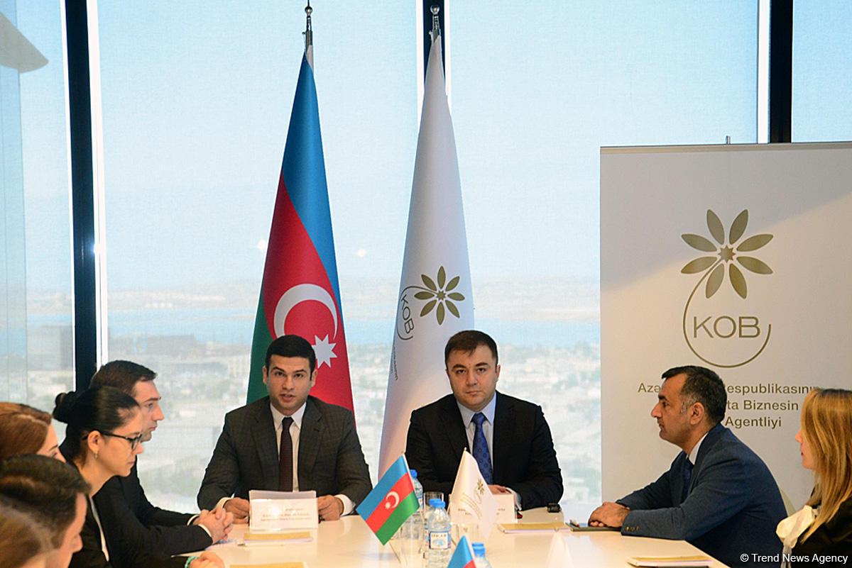 Kiçik və Orta Biznesin İnkişafı Agentliyi və Rusiyanın Azərbaycanlı Gənclər Birliyi arasında Memorandum imzalanıb (FOTO)