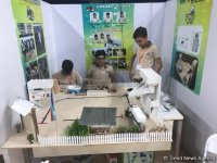 Bakıda II Robot Olimpiadası keçirilir (FOTO)