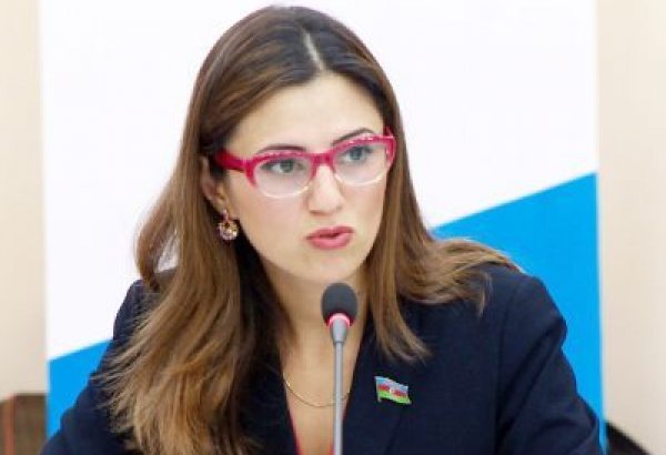 Sevinc Fətəliyeva: AŞ PA-da Azərbaycandakı “siyasi məhbus” məsələsi ilə bağlı müzakirələr riyakarlıq üzərində qurulub