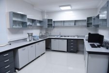 Prezident İlham Əliyev və xanımı Mehriban Əliyeva Qubada Meyvəçilik və Çayçılıq Elmi-Tədqiqat İnstitutunun tingçilik müəssisəsi ilə tanış olublar (YENİLƏNİB) (FOTO)