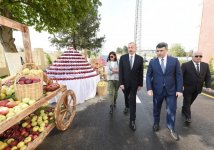 Prezident İlham Əliyev və xanımı Mehriban Əliyeva Qubada Meyvəçilik və Çayçılıq Elmi-Tədqiqat İnstitutunun tingçilik müəssisəsi ilə tanış olublar (YENİLƏNİB) (FOTO)