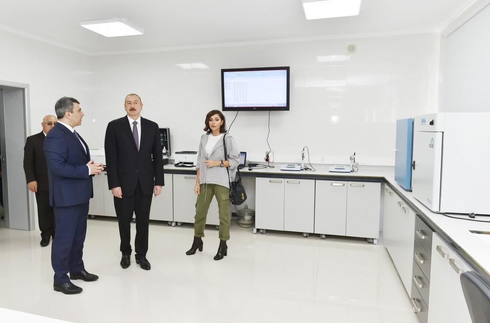 Prezident İlham Əliyev və xanımı Mehriban Əliyeva Qubada Meyvəçilik və Çayçılıq Elmi-Tədqiqat İnstitutunun tingçilik müəssisəsi ilə tanış olublar (YENİLƏNİB) (FOTO)