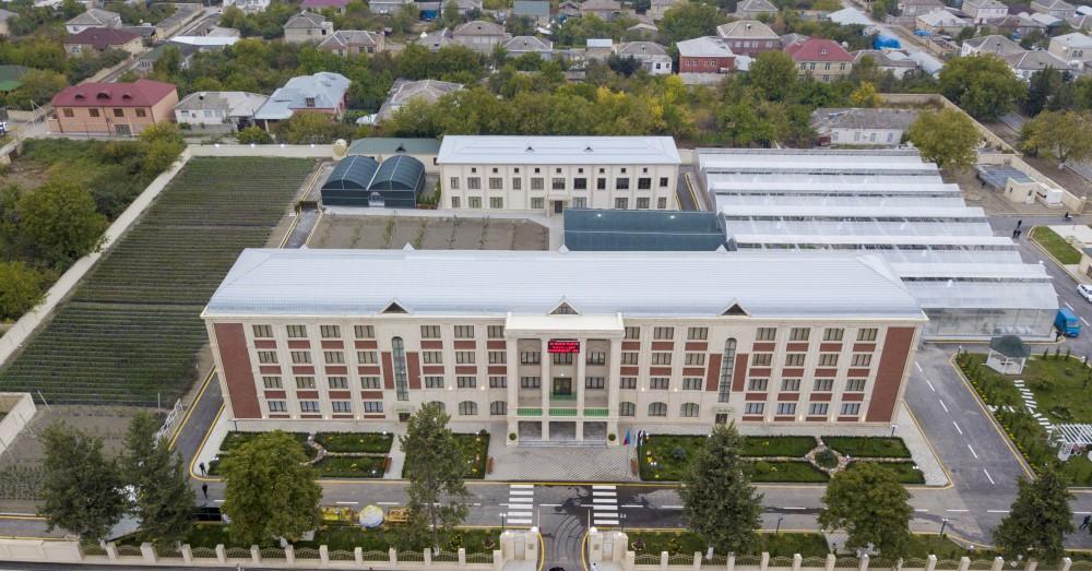 Prezident İlham Əliyev və xanımı Mehriban Əliyeva Qubada Meyvəçilik və Çayçılıq Elmi-Tədqiqat İnstitutunun tingçilik müəssisəsi ilə tanış olublar (YENİLƏNİB) (FOTO)