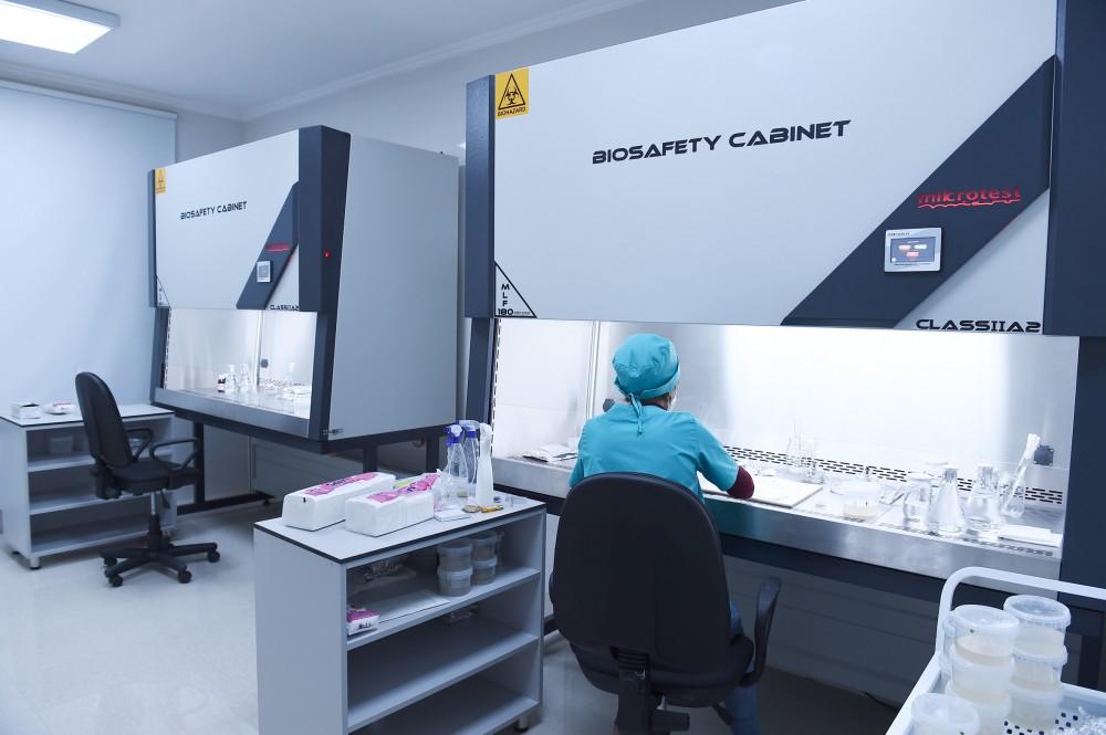 Prezident İlham Əliyev və xanımı Mehriban Əliyeva Qubada Meyvəçilik və Çayçılıq Elmi-Tədqiqat İnstitutunun tingçilik müəssisəsi ilə tanış olublar (YENİLƏNİB) (FOTO)