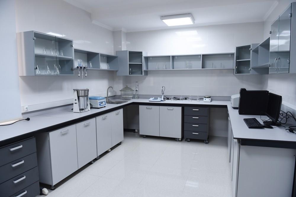 Prezident İlham Əliyev və xanımı Mehriban Əliyeva Qubada Meyvəçilik və Çayçılıq Elmi-Tədqiqat İnstitutunun tingçilik müəssisəsi ilə tanış olublar (YENİLƏNİB) (FOTO)