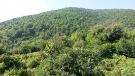 İnsanların "sırt çevirdiyi" Sirt qalası (FOTO)