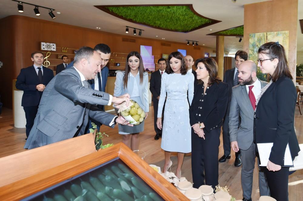 Azərbaycanın Birinci vitse-prezidenti Mehriban Əliyeva İtaliya Senatının sədri ilə görüşüb (FOTO) (YENİLƏNİB)