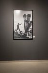 Bakıda YAY Qalereyasında “Funksiya. Quruluş. Dəyişiklik” fotosərgisinin açılışı olub (FOTO)