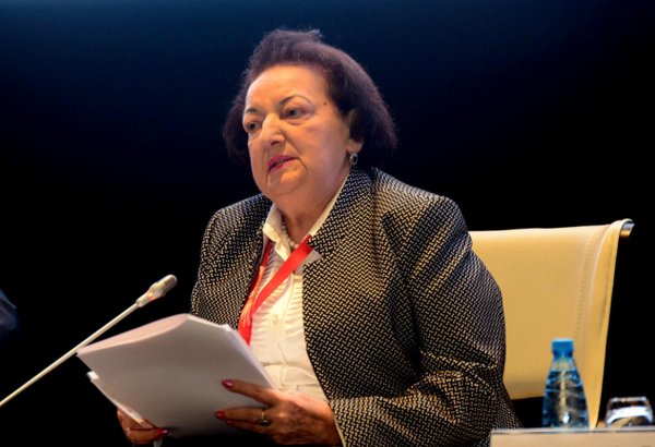 Ombudsman: Azərbaycan Dayanıqlı İnkişaf Məqsədlərinə çatmaqda daha yüksək nailiyyət əldə edə biləcək (FOTO)