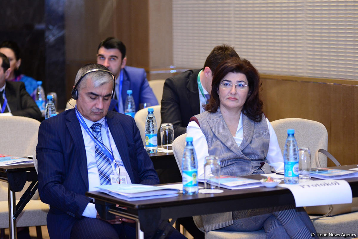 Dayanıqlı İnkişafa dair Bakı Forumu - II gün (FOTO)