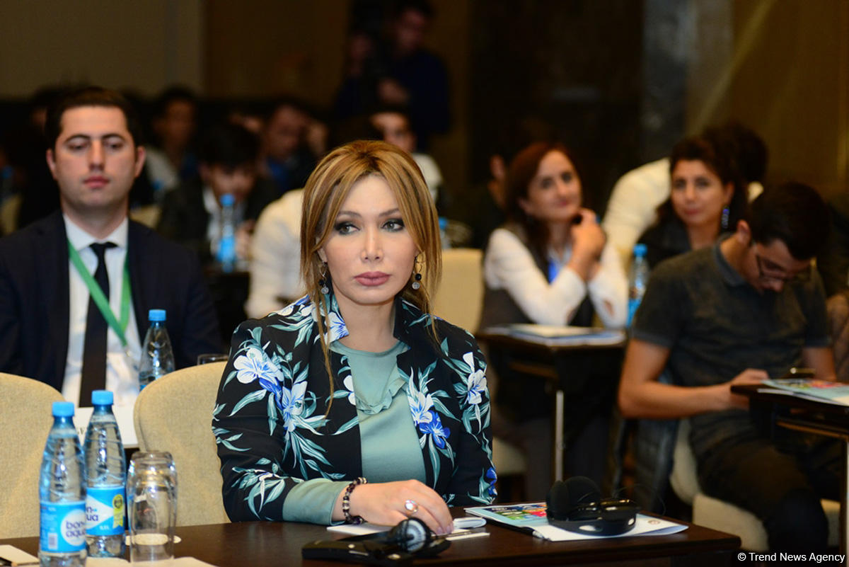 Ombudsman: Azərbaycan Dayanıqlı İnkişaf Məqsədlərinə çatmaqda daha yüksək nailiyyət əldə edə biləcək (FOTO)