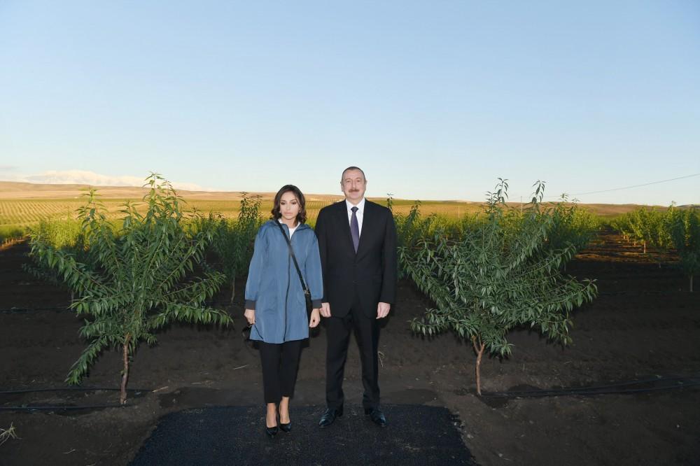 Prezident İlham Əliyev və birinci xanım Mehriban Əliyeva “Ulu Aqro” MMC-nin Qax Aqroparkının açılışında iştirak ediblər (FOTO) (YENİLƏNİB)