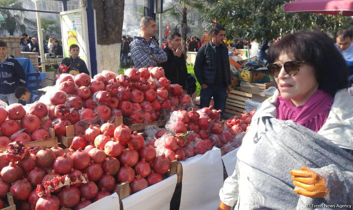 Göyçayda XIII Nar festivalında: Ən böyük nar 1 kq-dan çoxdur (FOTO)