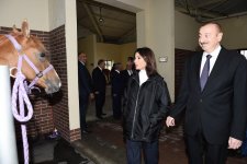 Prezident İlham Əliyev və birinci xanım Mehriban Əliyeva Qarabağ Atçılıq Kompleksinin açılışında iştirak ediblər (FOTO)